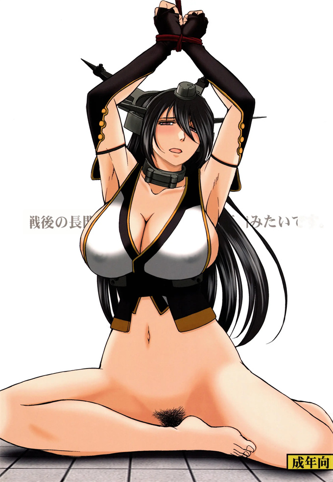 妖气舰娘本子之戦後の長門は欲求不満みたいです。