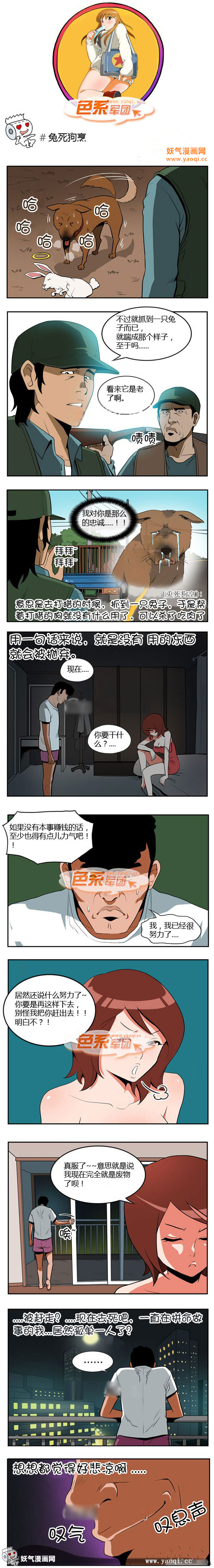 色系军团之兔死狗蒸