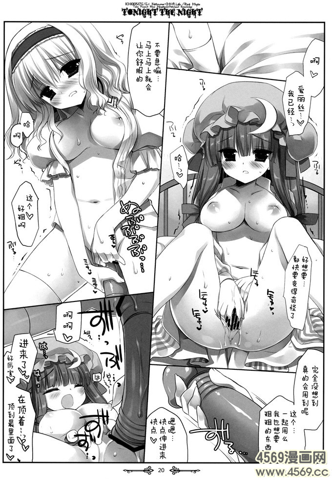 邪恶少女漫画之帕秋莉漫画[D.N.A.Lab.] Darling Wondering S