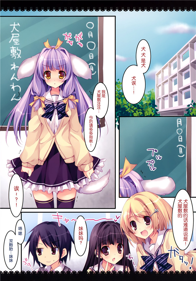 日本少女漫画之和风酱全彩h本子s健気猫娘&番犬妹娘いぬねこ