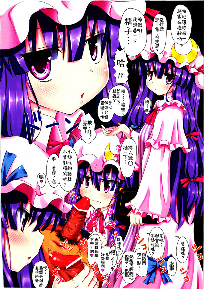 工口漫画之爱丽丝全彩h本子[かみか堂 (銀曜ハル)] 東方のエロゲー3