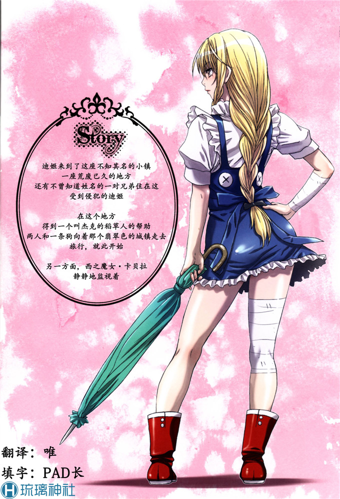 同人志漫画之迪姬侵犯h全彩本子(C84)Other Zone2～黒い聖女～