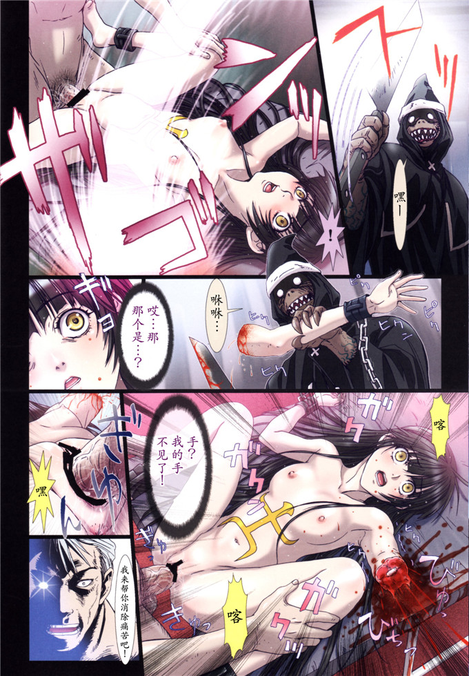 同人志漫画之迪姬侵犯h全彩本子(C84)Other Zone2～黒い聖女～