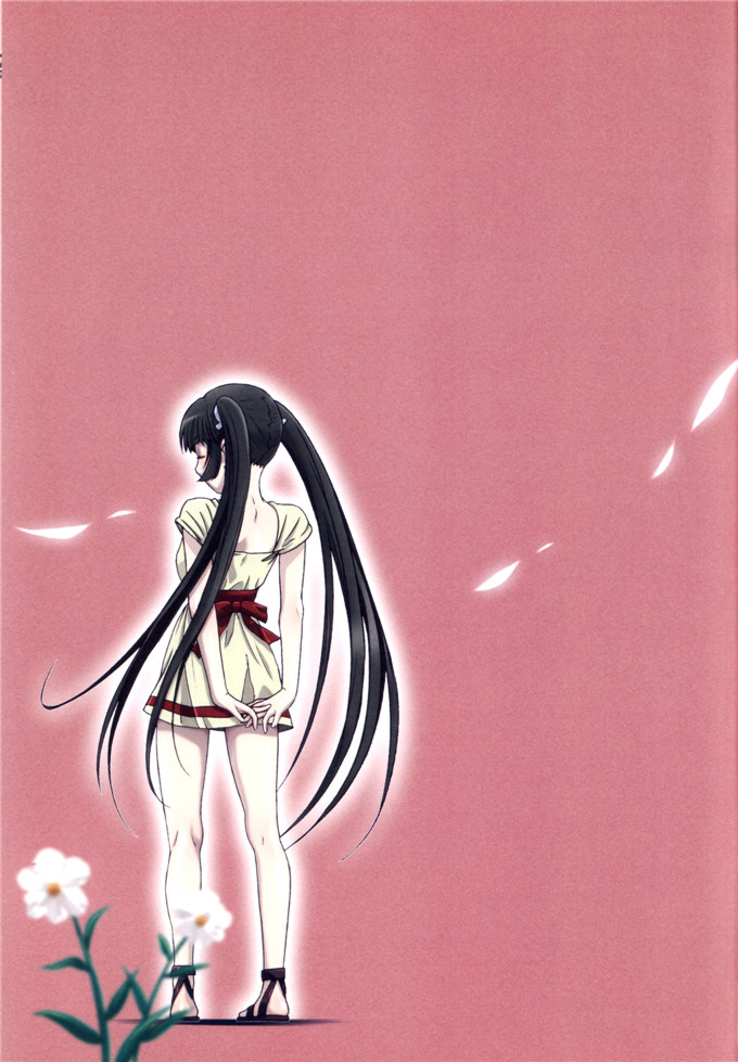 同人志漫画之迪姬侵犯h全彩本子(C84)Other Zone2～黒い聖女～