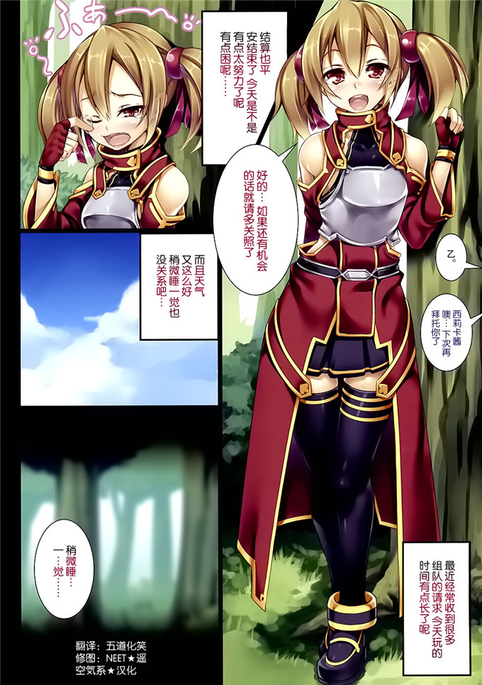 肉番动漫本子之西莉卡酱本子(C82)(ソードアート オンライン)