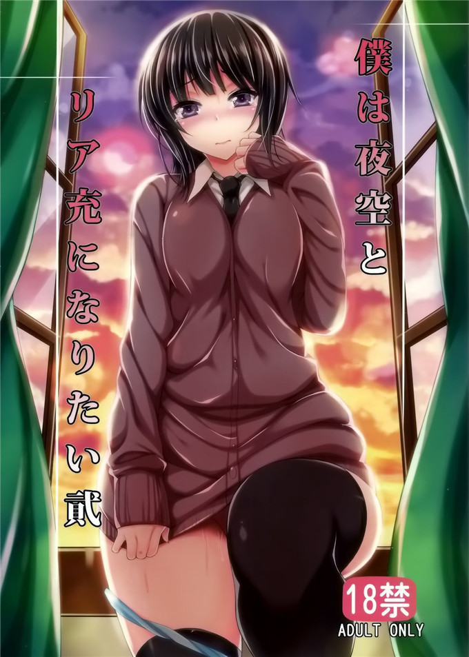 动漫本子之夜空和小鹰h本子