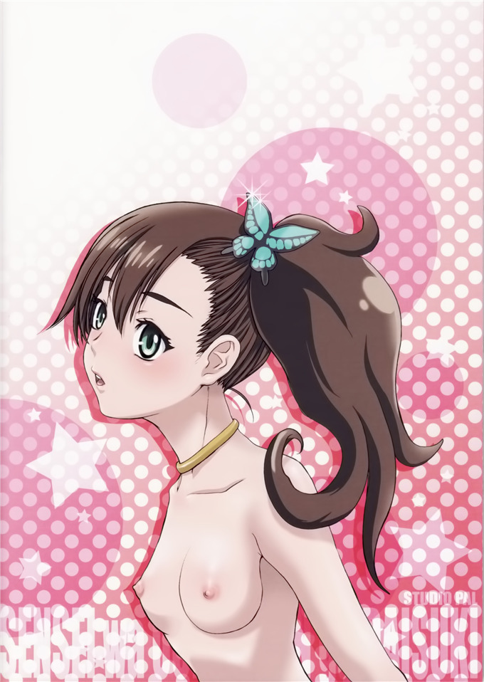 工口漫画之阿卡迪亚(C83)先生はおちんちんが大好き