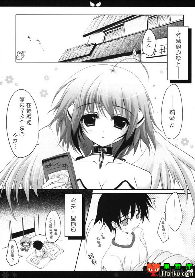 日本邪恶少女漫画之天降之物伊卡洛丝h本子