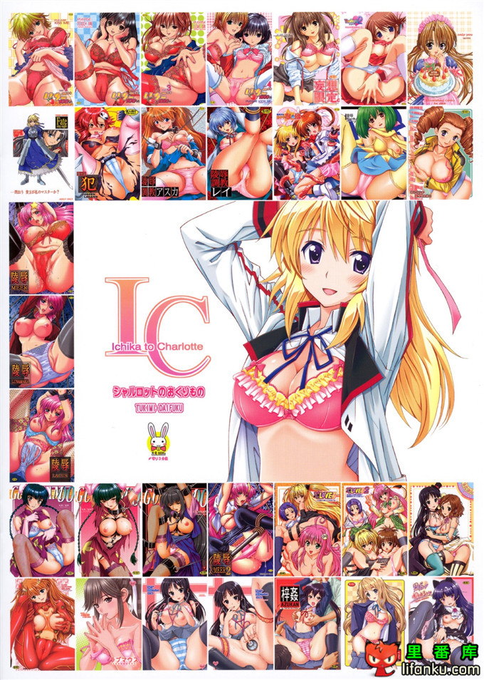 同人漫画之Infinite Stratos福利漫画查理斯和一夏h本子